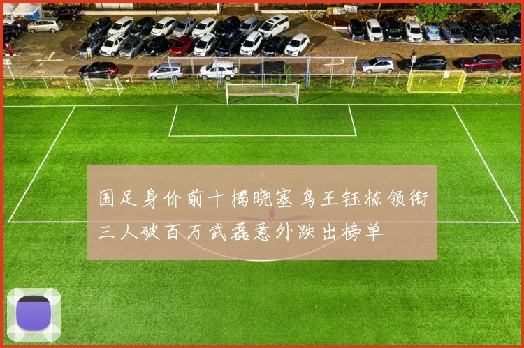 国足身价前十揭晓塞鸟王钰栋领衔三人破百万武磊意外跌出榜单