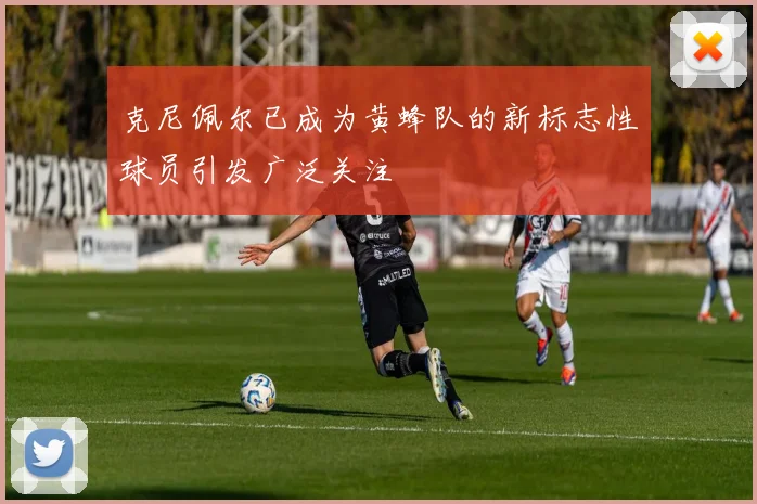 克尼佩尔已成为黄蜂队的新标志性球员引发广泛关注