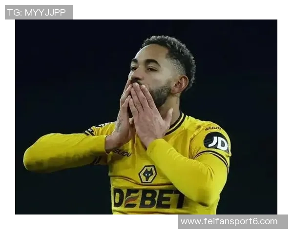 英超单赛季巴西球员射手榜更新库尼亚小马丁菲米并列领跑伊戈尔紧随其后